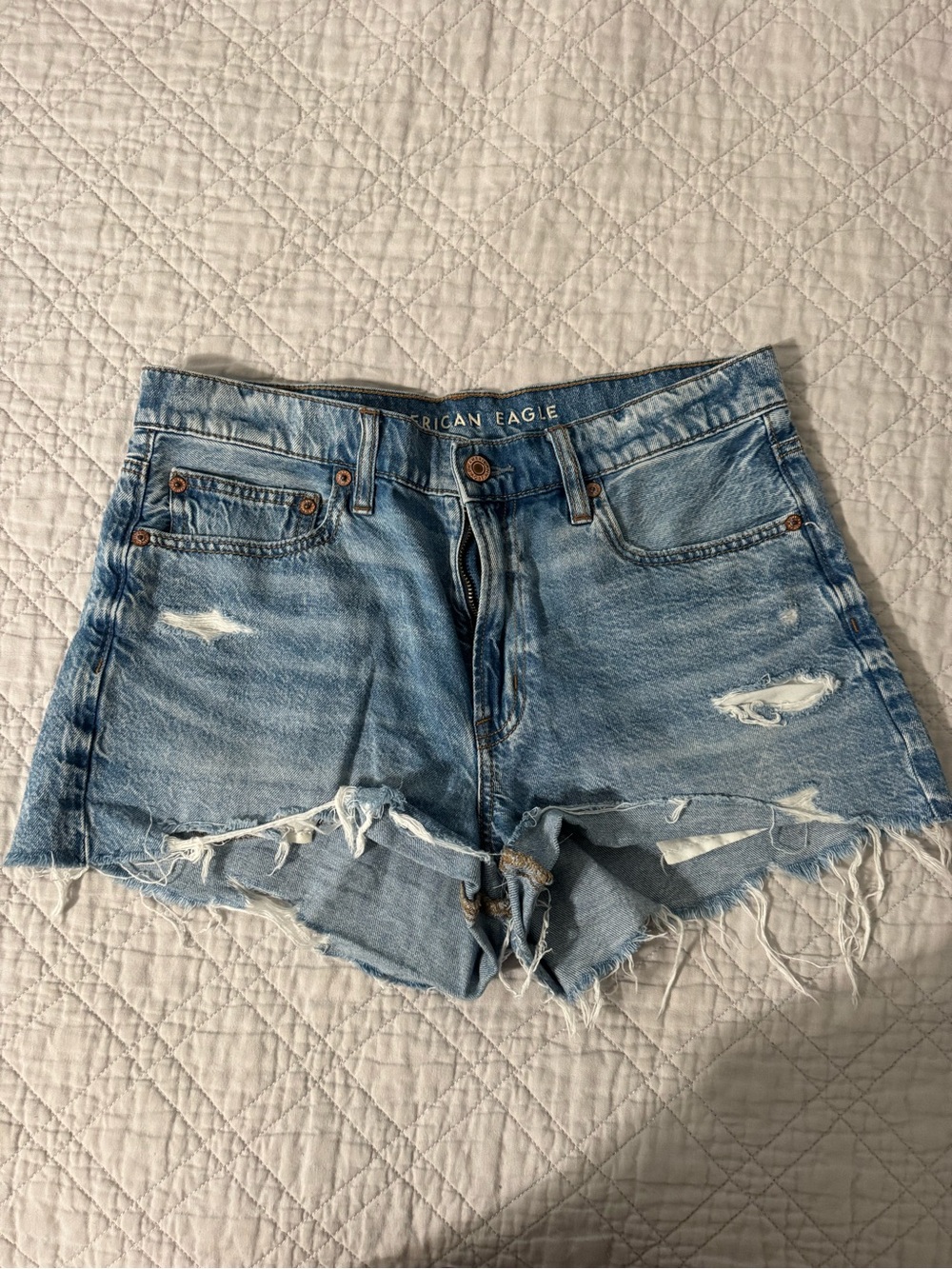 American Eagle Outfitters Light Wash Frayed Denim Cutoff Shorts